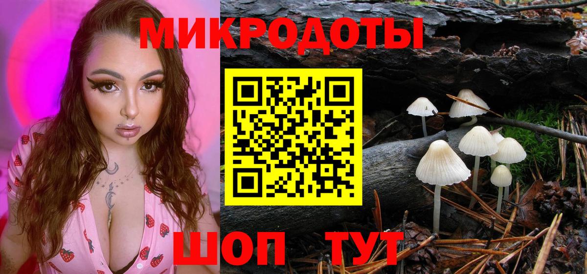 Галлюциногенные грибы прущие грибы Красногорск